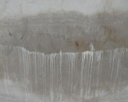 betrimex-phong-nam-5a_t1.jpg