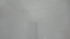 dsc_0129_fileminimizer_t1.jpg